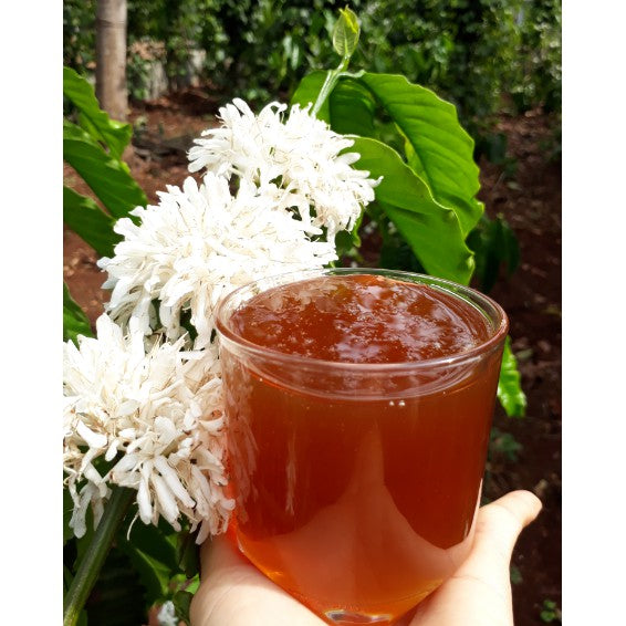 Mật ong hoa cà phê Đắk Lắk